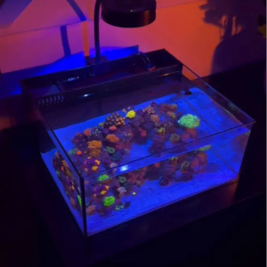 Aqurium Products