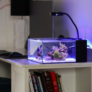 Aqurium Products